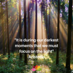 _It is during our darkest moments that we must focus on the light_Aristotle