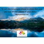 _It isn't the mountains ahead to climb that wear you out; it's the pebble in your shoe._ Muhammad Ali